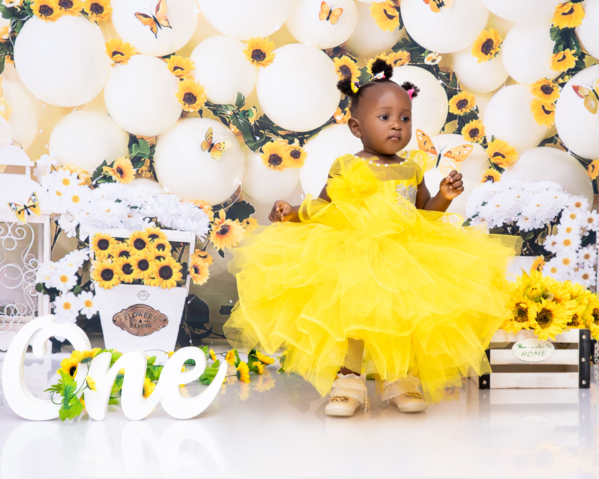 milestone photography by Javies Photography Studio